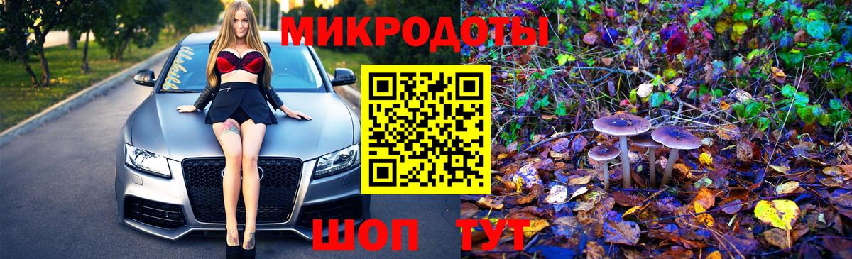 Прохладный  Галлюциногенные грибы Magic Shrooms  Вход с VPN 